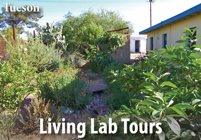 Enjoy a free tour of our Living Lab and Learning Center on the 2nd Saturday of every month.