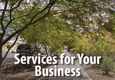 Let us transform your business landscape into a lush and welcoming environment.