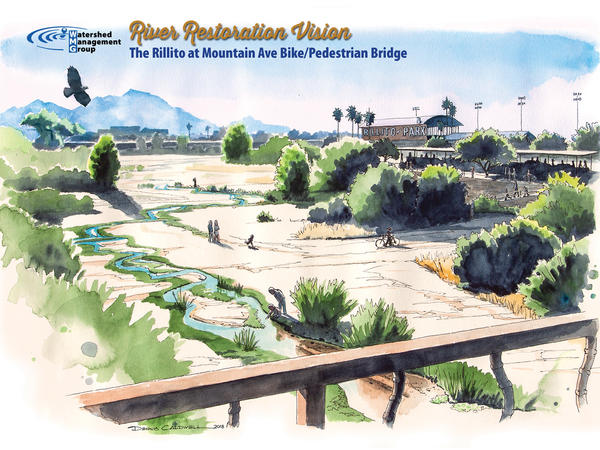 Illustration of WMG's 50-year vision for the Rillito River
