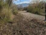 December 2022 Wentworth Bosque