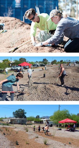 Planting work in Flowing Wells