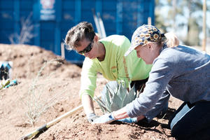 Volunteers needed for restoration workshops. 