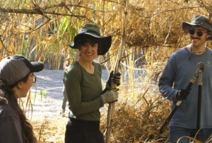 Volunteers Removing Arundo