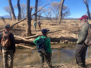 Beaver survey by WMG along the San Pedro River