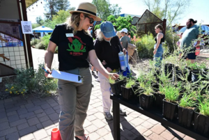 Person choosing grass through Build Your Own Basin