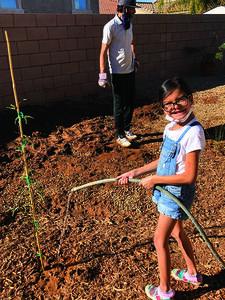 A volunteer plants a tree from her BYOB kit