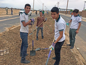 Proyecto de Infraestructura Verde en San Luis Río Colorado, Sonora. México