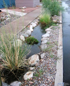 Curb cuts help reduce street flooding.