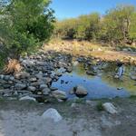 April 2022 Bear Canyon Trail