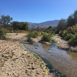 October 2021 Tanque Verde Bosque