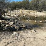 February 2022 Bear Canyon Trail