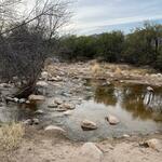 January 2022 Bear Canyon Trail