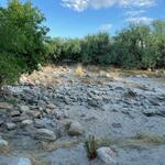 June 2022 Bear Canyon Trail