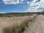 April 2023 Colossal Cave Rd