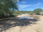 August 2023 Colossal Cave Rd