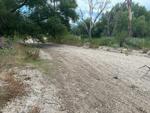 August 2023 Wentworth Bosque