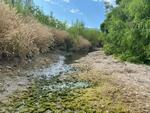 July 2023 Wentworth Bosque