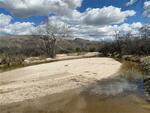 March 2023 Soldier Trail 