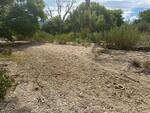 September 2023 Wentworth Bosque