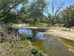 April 2023 Wentworth Bosque