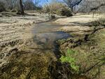 February 2023 Wentworth Bosque
