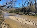 January 2023 Wentworth Bosque