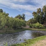 May 2021 Marana Heritage Park