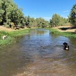 June 2021 Marana Heritage Park